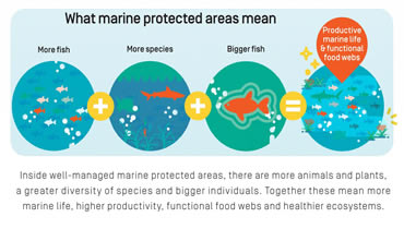 Know Your Ocean