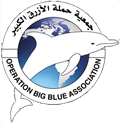 Operation Big Blue
